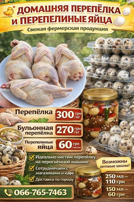 Перепела,тушки,яйцо