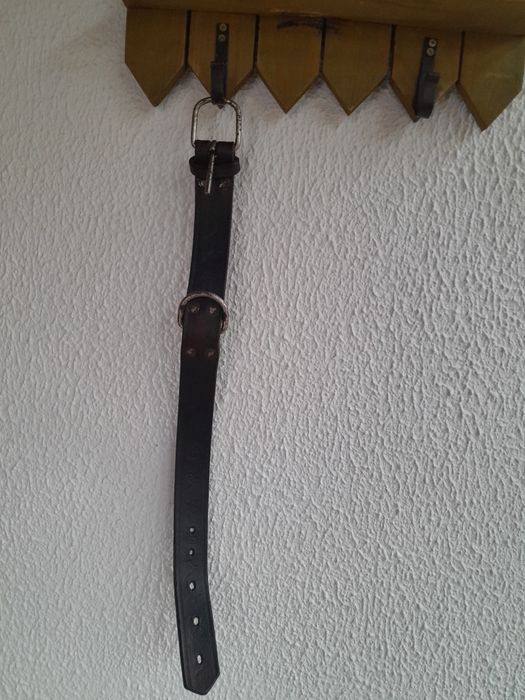 Coleira de cao em pele vintage.