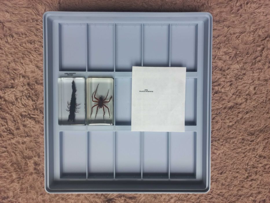 Owady w żywicy 16szt