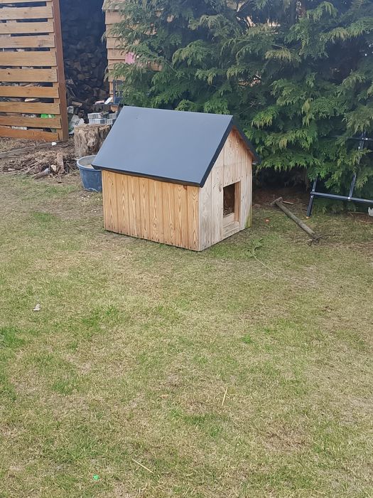 Buda dla psa średniego rozmiaru