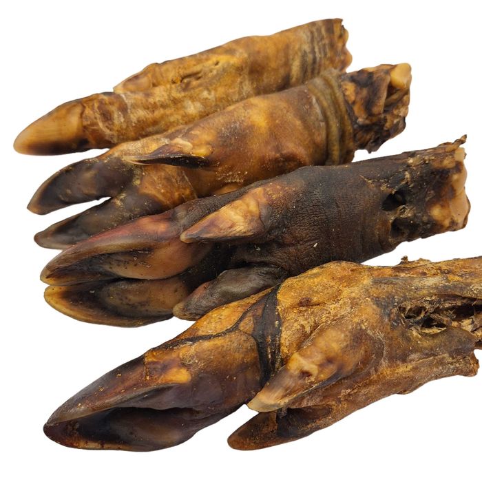 Noga dzika DUŻA 200g 1szt. naturalne gryzaki KTMgryzaki