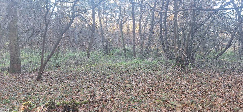 Działka leśna w Zawadach z dostępem do rzeki Liswarta