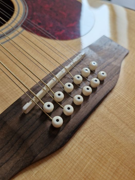 Gitara dwunastostrunowa Freshman FA1DCE12 + case