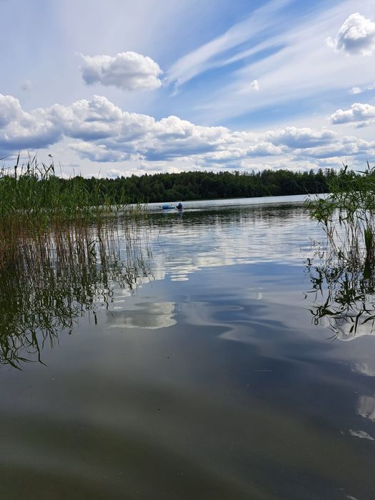 Sprzedam domek letniskowy nad jeziorem Węgorzyno (Żakowo/Sulęczyno)