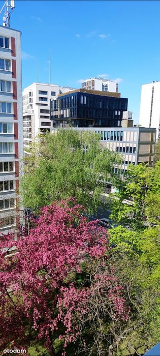 2-pokojowe z balkonem Królewska 43 REZERWACJA - Widok 3