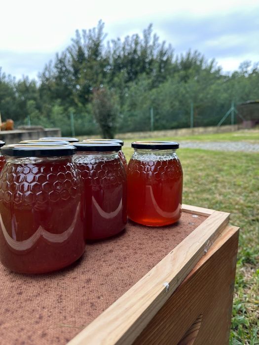 Mel natural multifloral