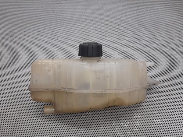 Vaso Expansao / Radiador RENAULT Clio III (BR0/1, CR0/1)