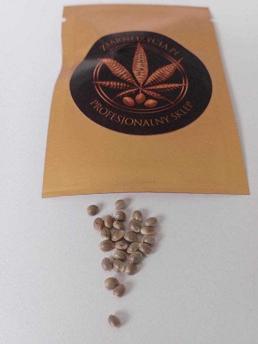 Auto Zkittlez nasiona konopi 5 sztuk