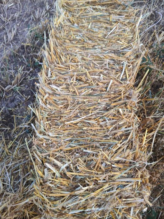 Продам пшеничну овсяні солому