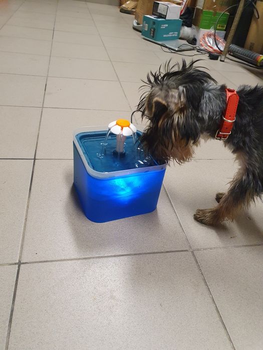 Poidło dla zwierzaków