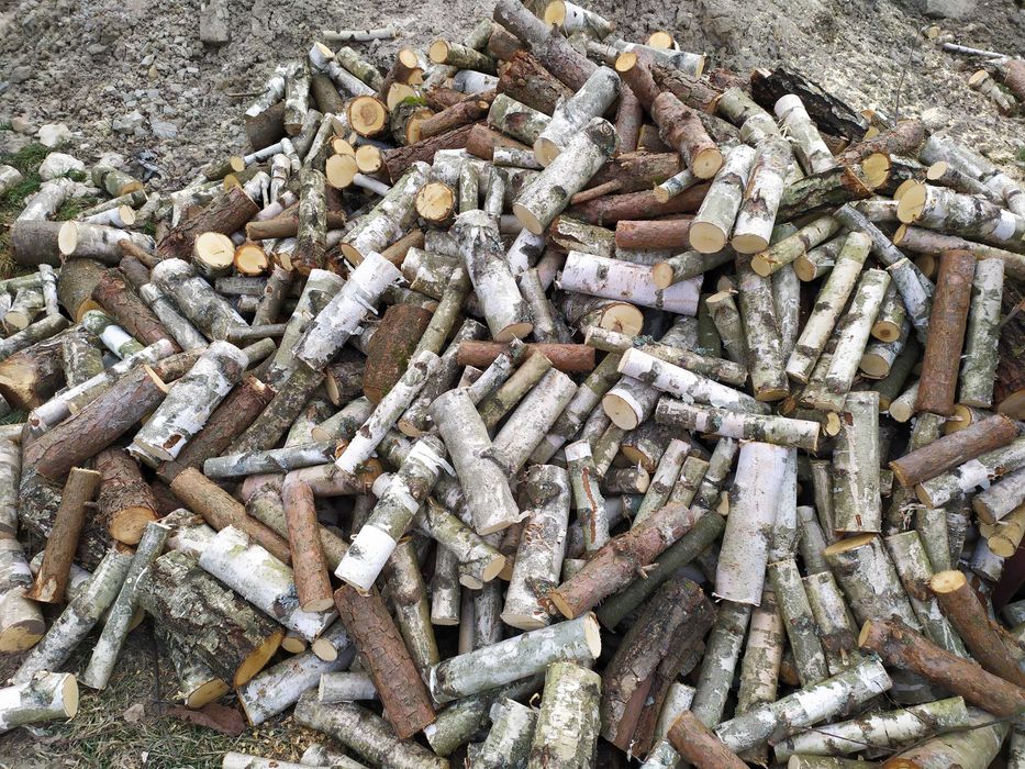 Drewno opałowe sosna, brzoza, klon, wiąz