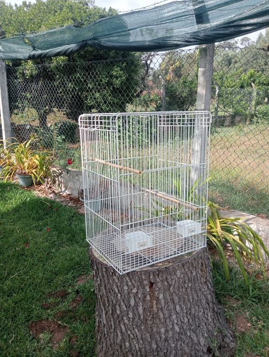 Gaiola para pássaros