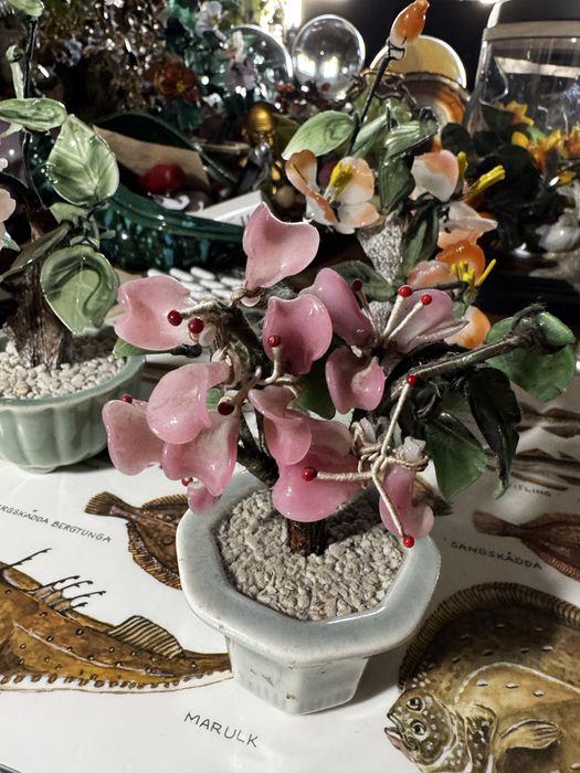 Ozdobne drzewka bonsai
