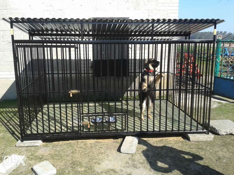 Kojec dla psa Kojce dla psów Klatka Klatki SZYBKA DOSTAWA 3x2 2025