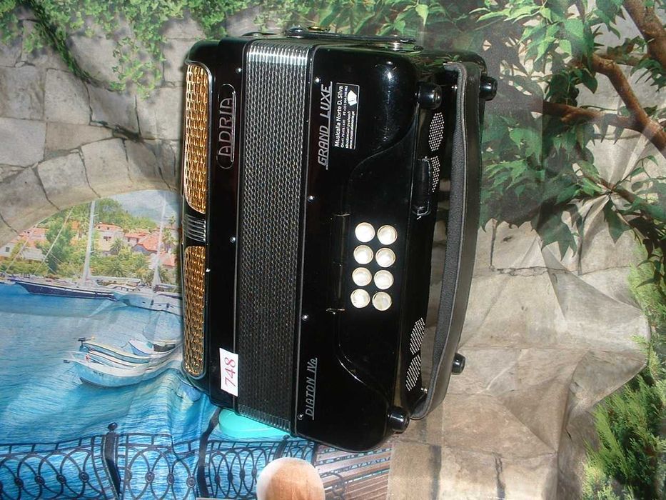 Concertina a venda n.748