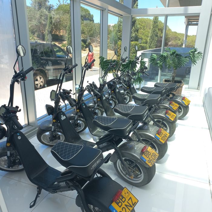 Motas electricas