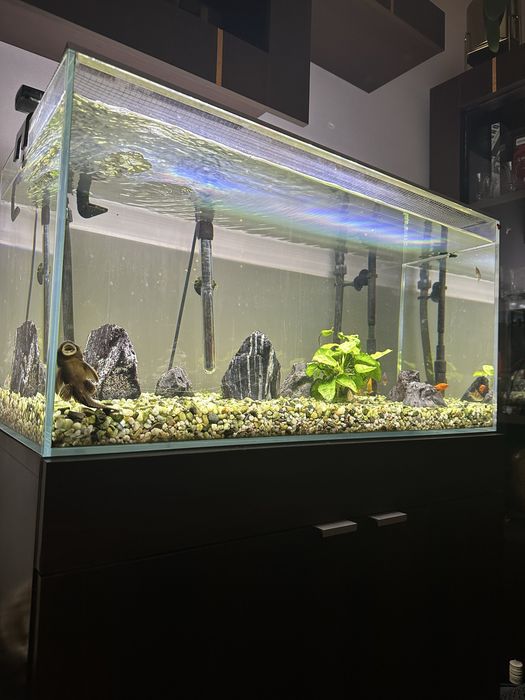 akwarium NACD optiwhite