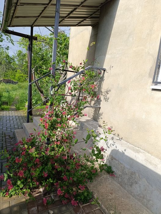 Продається дім в дачному кооперативі