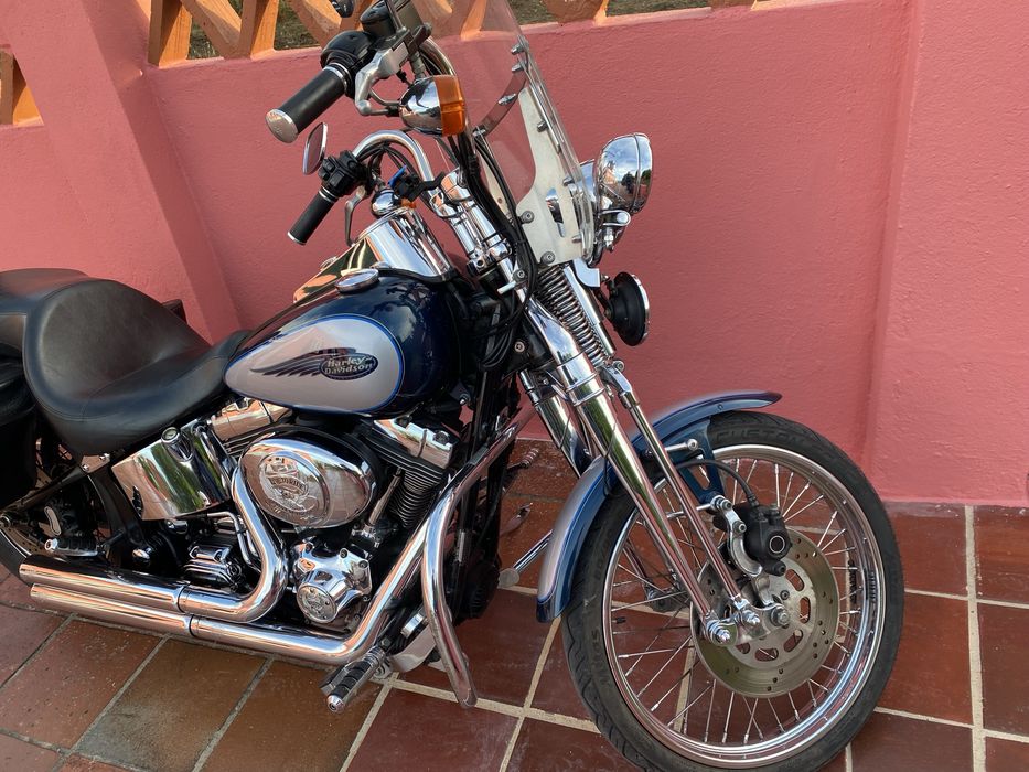 Harley Davidson Springer.