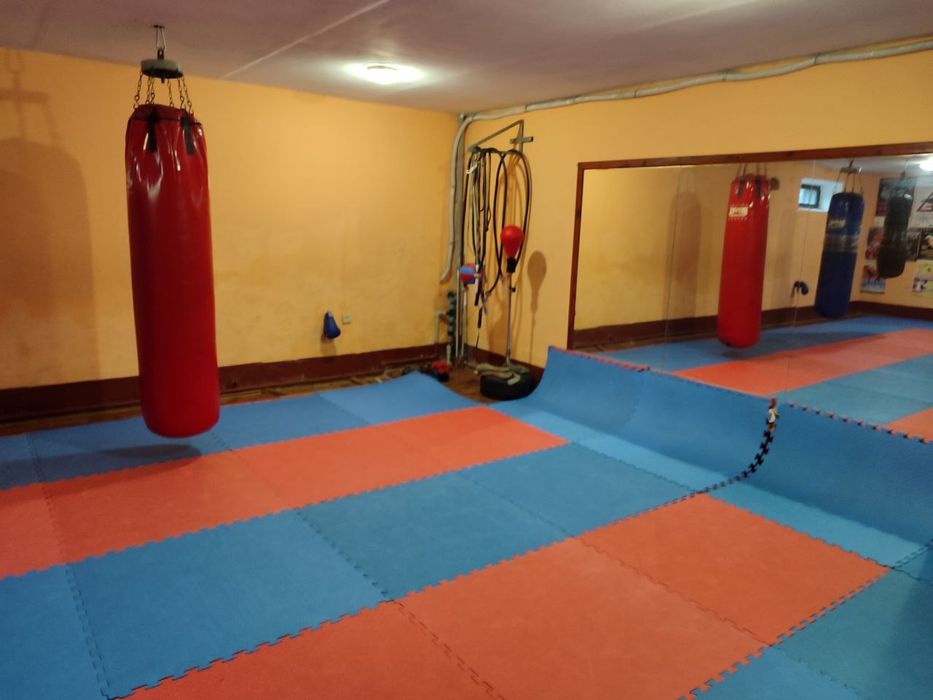 Продаж квартири в дуплексі - 449кв.м. в центрі міста