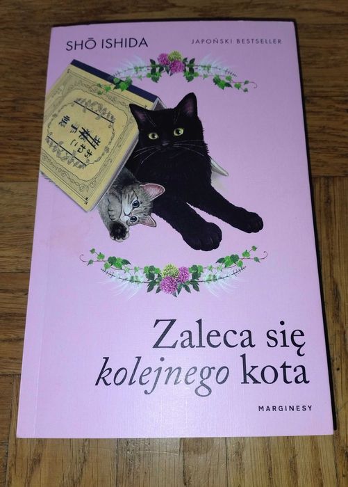 Sho Ishida Zaleca się kolejnego kota NOWA!