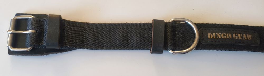 Obroża z taśmy DINGO GEAR