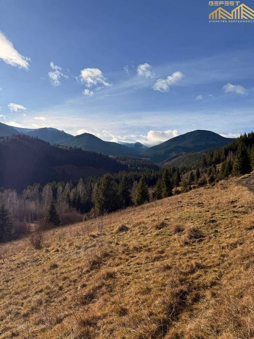 Дземброня. Верховинський район. Нерухомість. Земля. Карпати. 50сотих