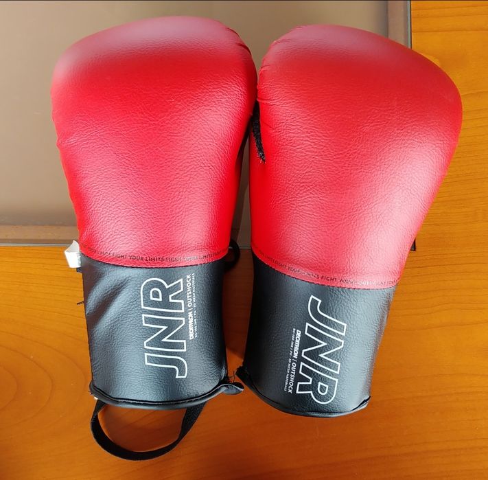 Saco de boxe + luvas