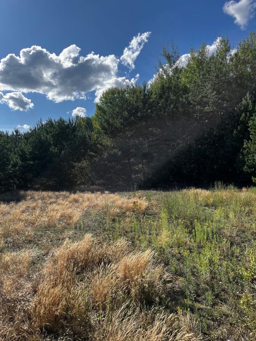 Продам земельну ділянку 2га біля Шацьких озер. Власник