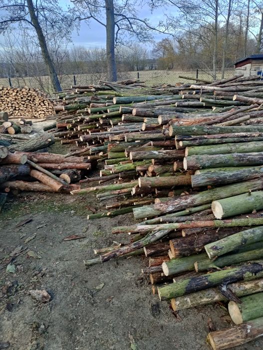 Drewno opałowe tanio