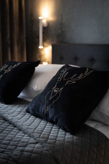 APARTAMENT 24A1 - Krynica Zdrój - ul. Cicha 16 - centrum + garaż