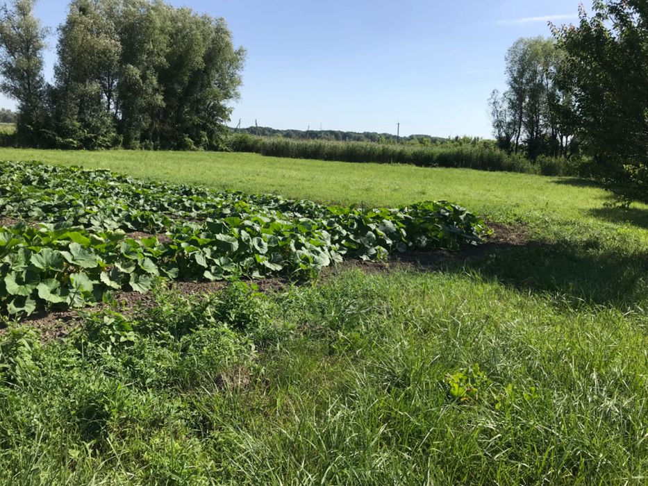 Будинок без внутрішніх робіт