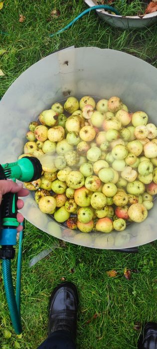 Сік.  Різні комбінації і поєднання..