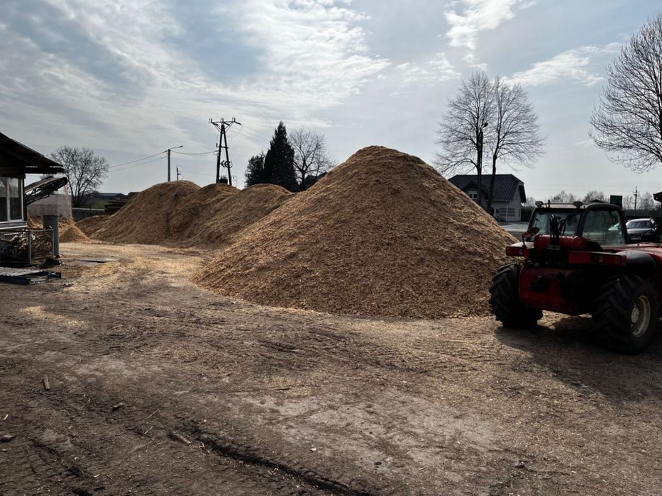 Trocina zrebka Otaczarka sosnowa.Ladunki całopojazdowe.