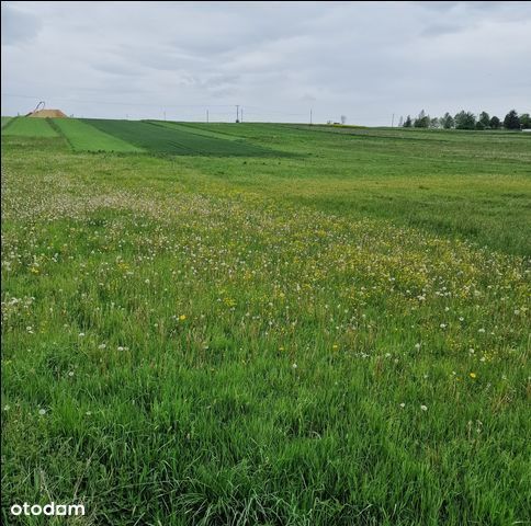 Działka, Tychy