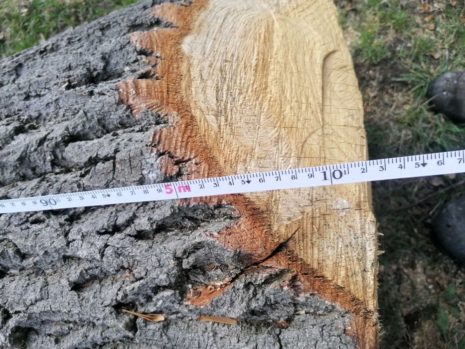 Sprzedam kłode dębową