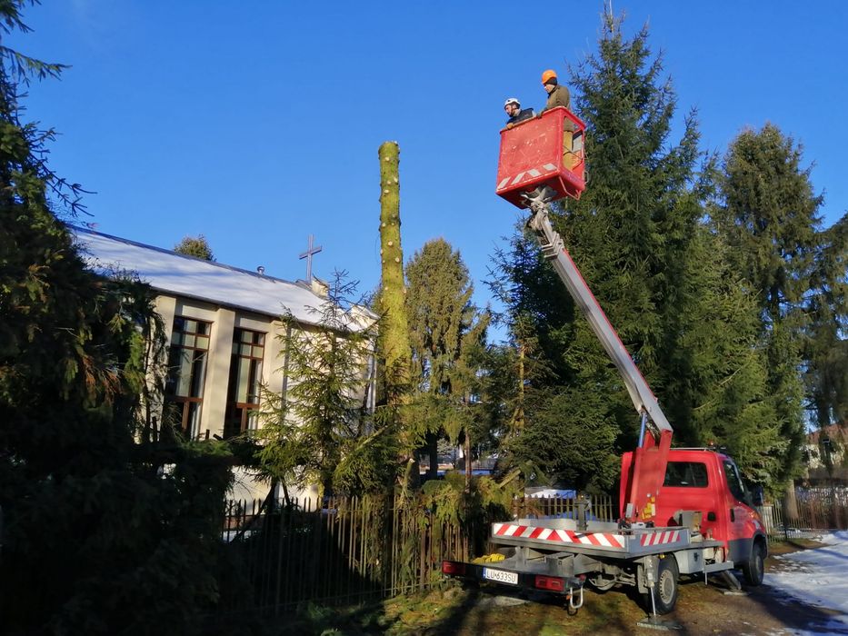 Wycinka drzew , porząkowanie działek , uslugi ogrodnicze