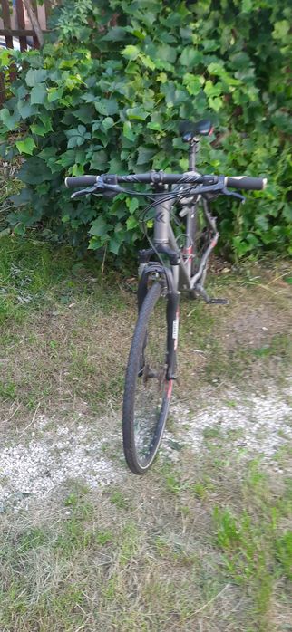 Rower Kross Evado 4.0