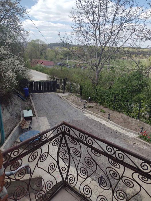 Продаж будинку в Давидові, два поверхи, ділянка 25 соток землі