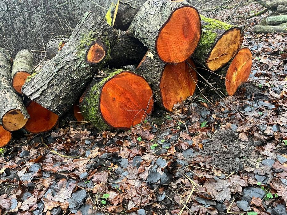 Sprzedaż Drewna Opałowego/Kominkowego (układane) (porąbane) (Na raz 4M