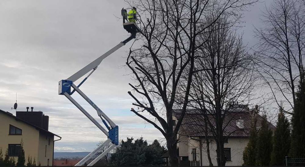 Wycinka drzew, koszenie, usługi rębakiem, frezowanie pni, mulczowanie