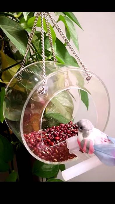 Годівничка для птахів на вікно, кормушка на окно на присосках.