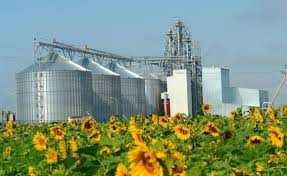 Продам готові ТОВ 2018–2021 р. Без діяльності. З ПДВ та без ПДВ