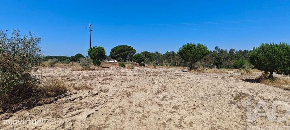 Terreno para construção em Branca de 7020,00 m2