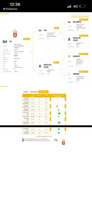 Para venda Égua PSL