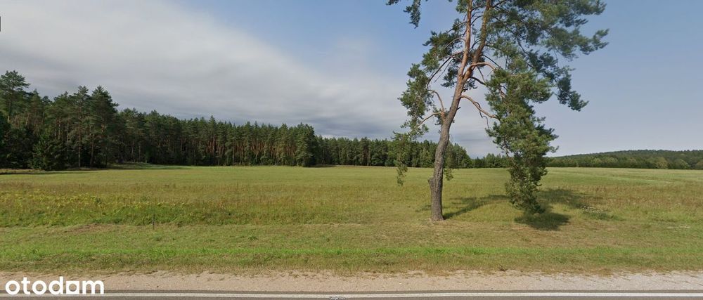 Działki rekreacyjne. Przechody, gm. Gródek - Widok 4