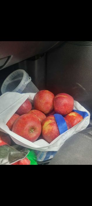 Jablka z ekologicznego sadu bez oprysku