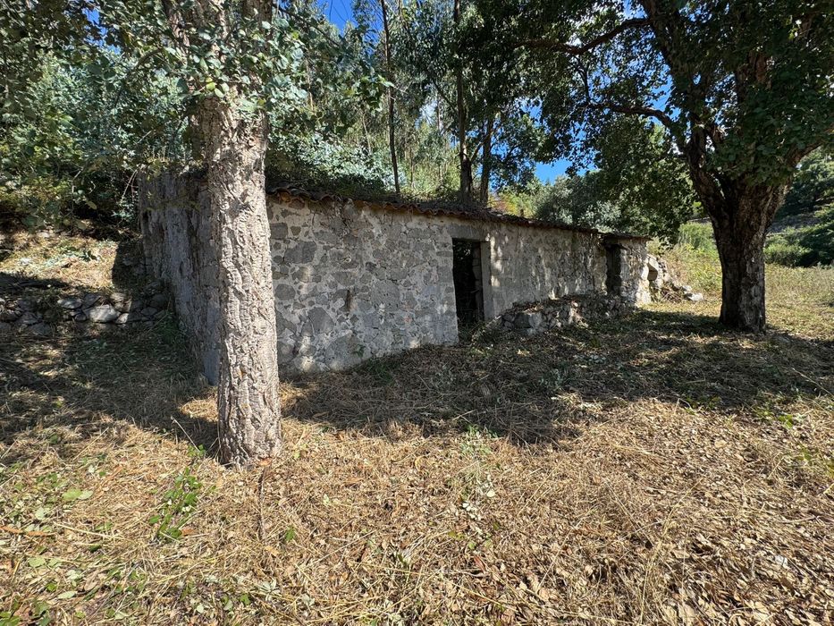 Ruin for reconstruction- Foia Monchique