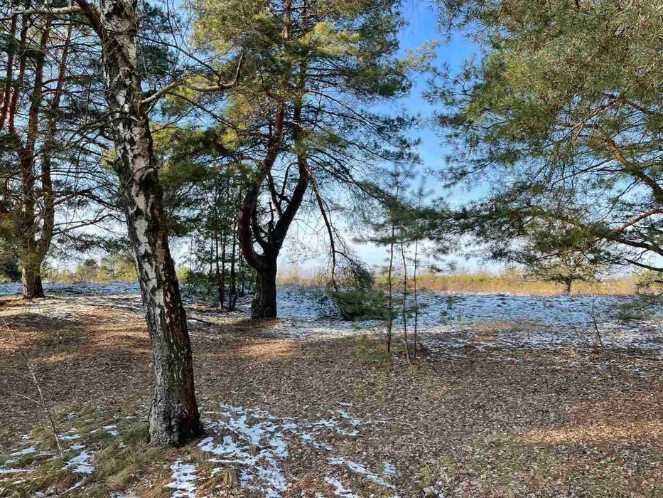 Біля води, Жукин, 20 соток для будівництва