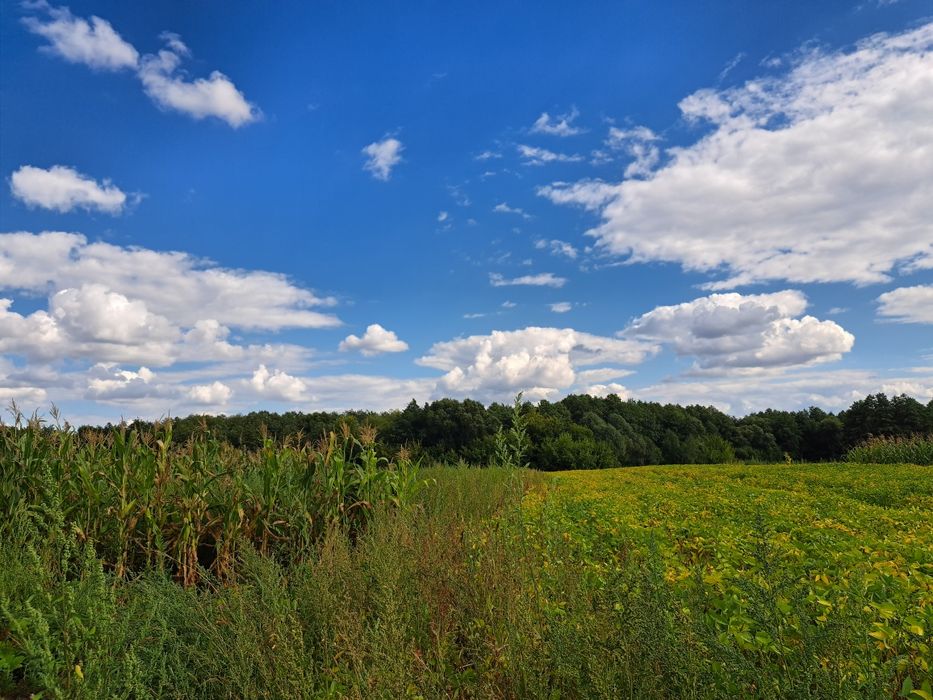 Продам будинок в Бурині